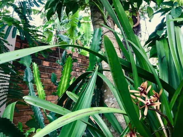 The Venue Phu Quoc Exterior foto