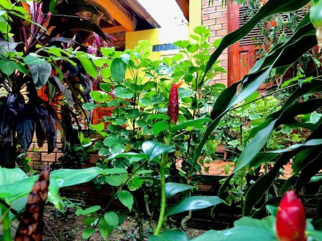 The Venue Phu Quoc Exterior foto