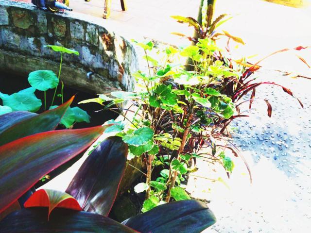 The Venue Phu Quoc Exterior foto