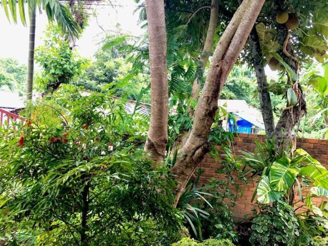 The Venue Phu Quoc Exterior foto