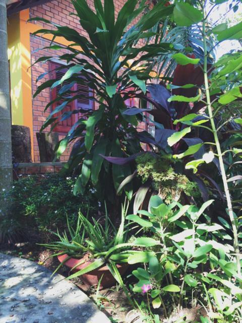 The Venue Phu Quoc Exterior foto