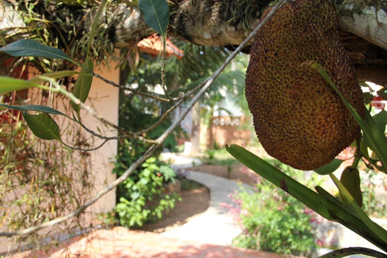 The Venue Phu Quoc Exterior foto